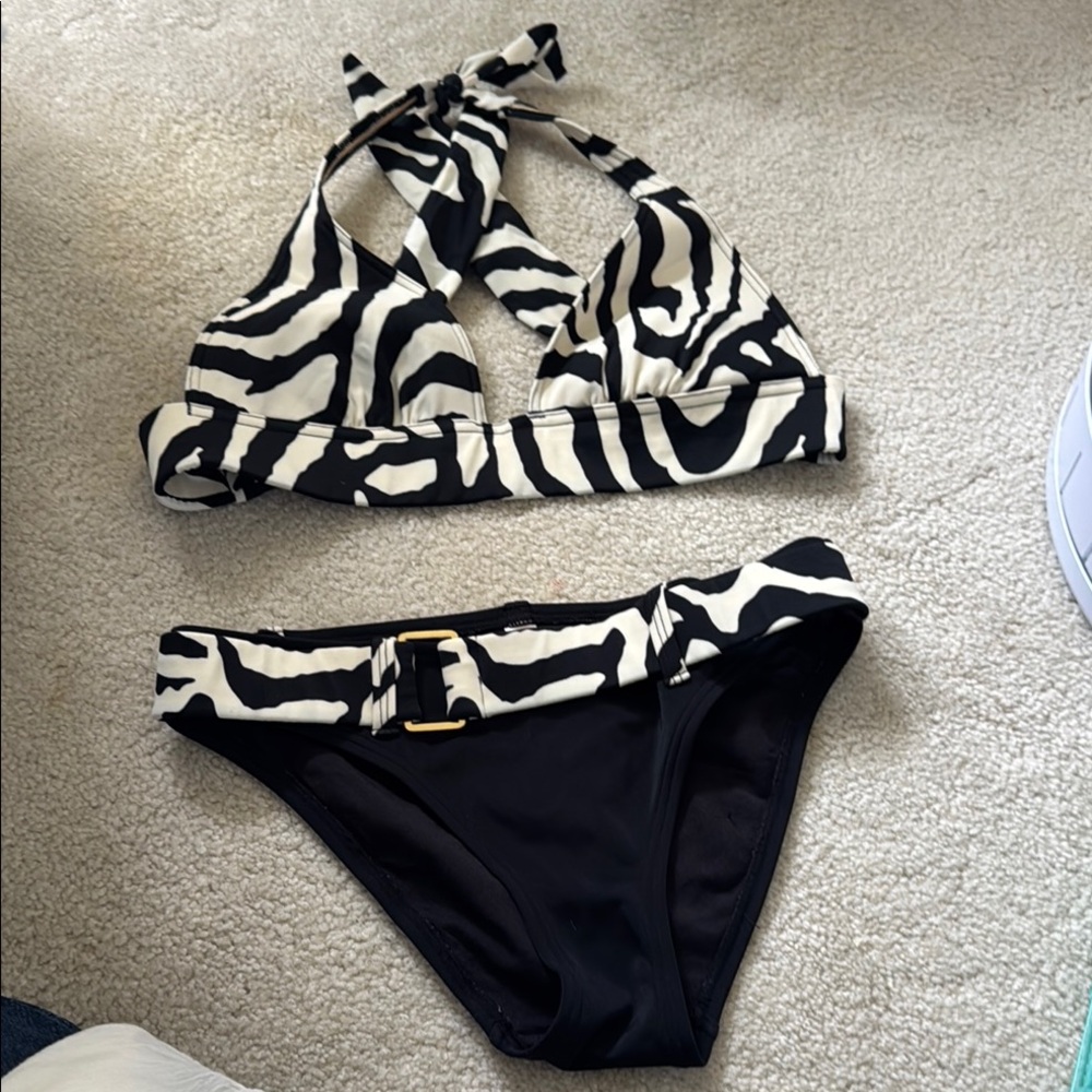 Zebra Print Bikini Set